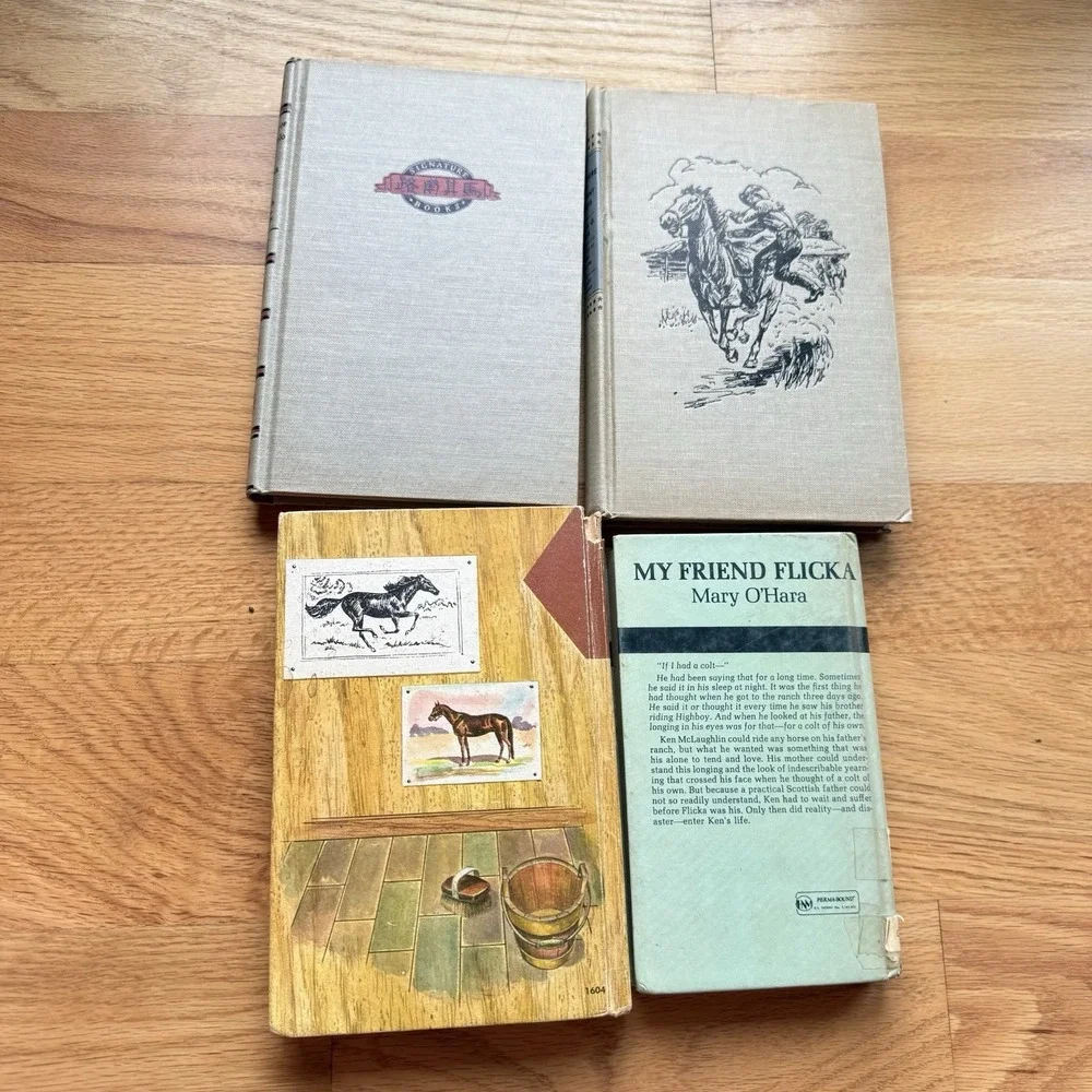 Vintage Lot Of Children's Books Black Beauty Marco Polo Pony Express Vintage 50s